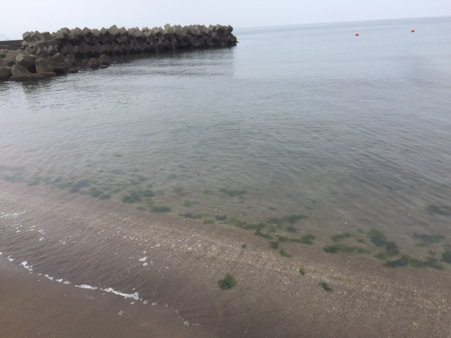 札幌近郊のサンセットビーチ銭函へ海水浴に行ってきました 管理人おきてるさん オキテルサン の人生 仕事 趣味 時事記事 雑談ブログ